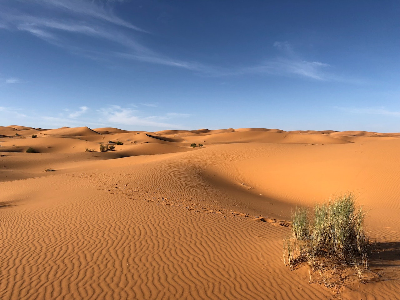 Le désert du sahara